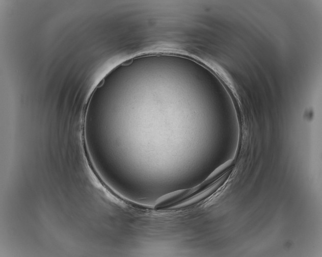 X0000090931390200707301545