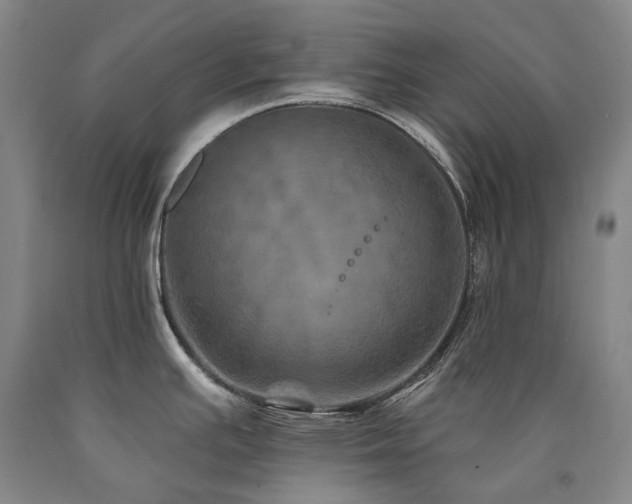 X0000090931391200707301544