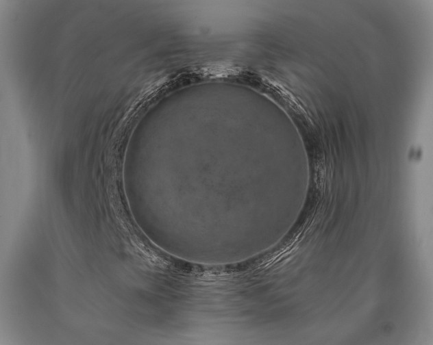X0000090931393200707301544