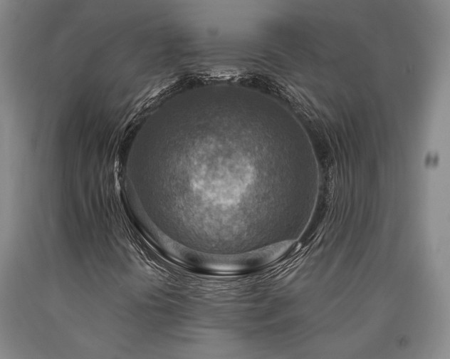 X0000090931394200707301544