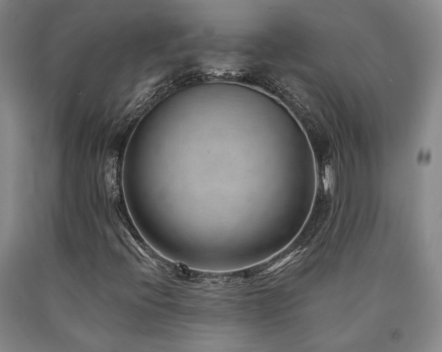 X0000090931396200707301544