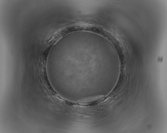X0000090931397200707301544