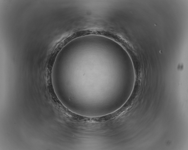 X0000090931398200707301544