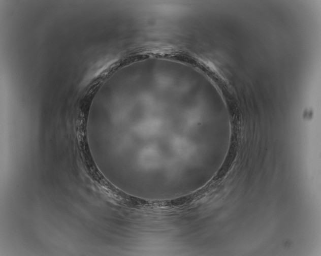 X0000090931399200707301544