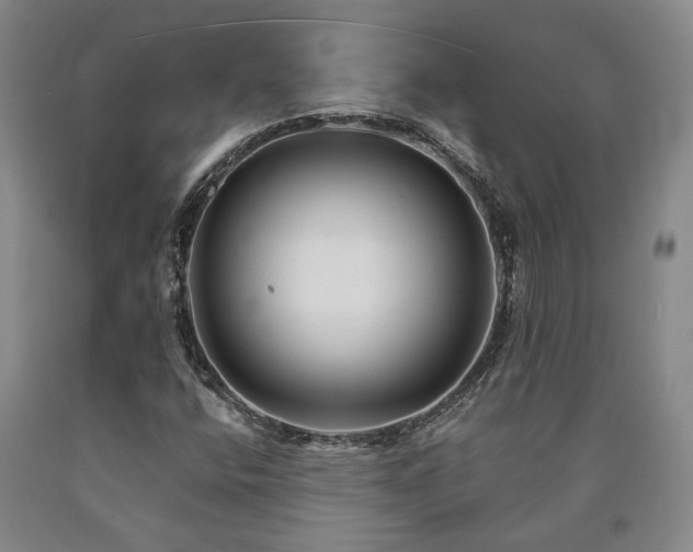 X0000090931400200707301544