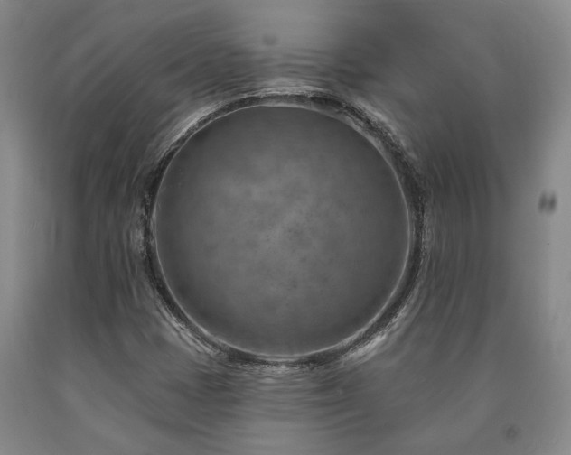 X0000090931401200707301544