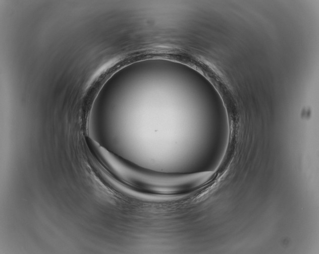 X0000090931402200707301544