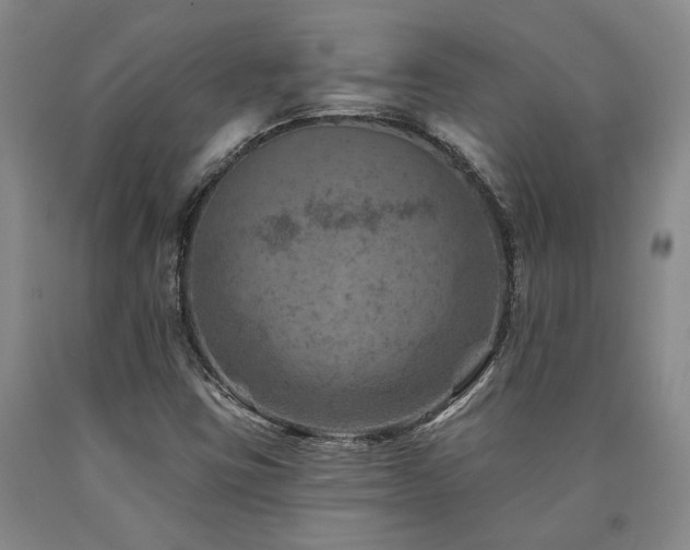 X0000090931403200707301544