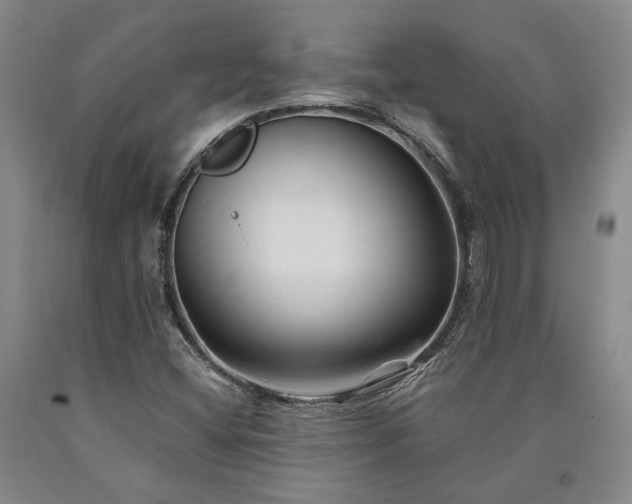 X0000090931404200707301544