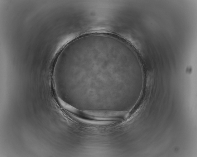 X0000090931405200707301544