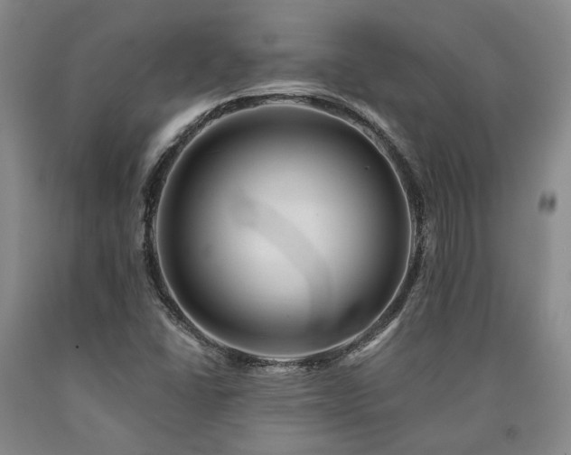 X0000090931406200707301544