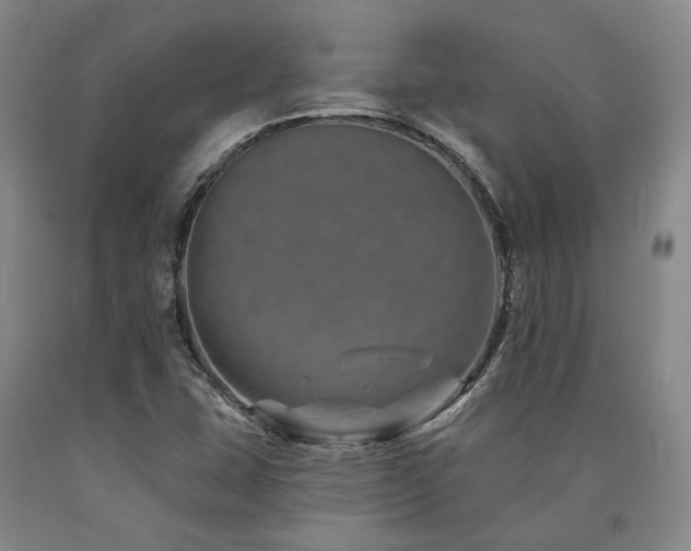 X0000090931407200707301544