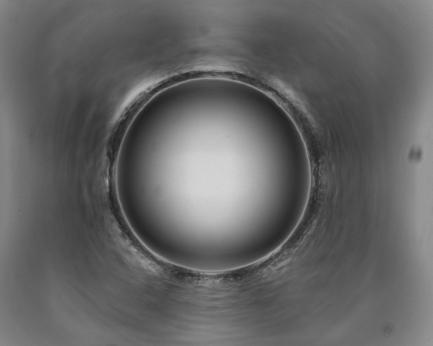 X0000090931408200707301544