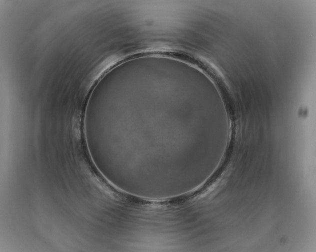X0000090931409200707301544