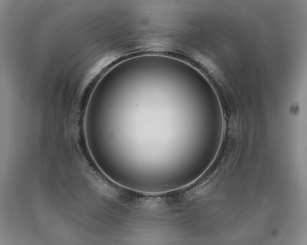 X0000090931410200707301544