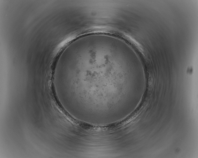 X0000090931411200707301544