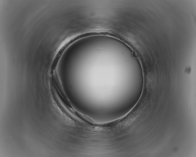 X0000090931412200707301544
