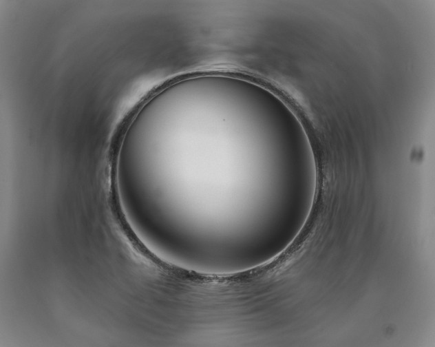 X0000090931414200707301544