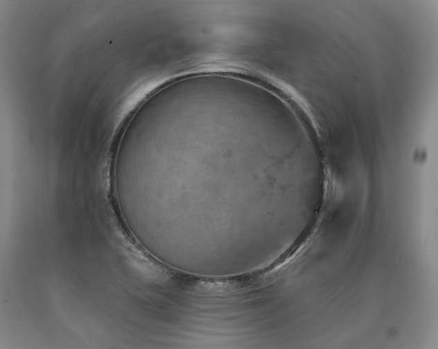 X0000090931415200707301544