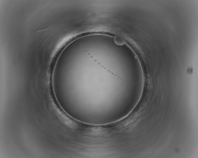 X0000090931416200707301544