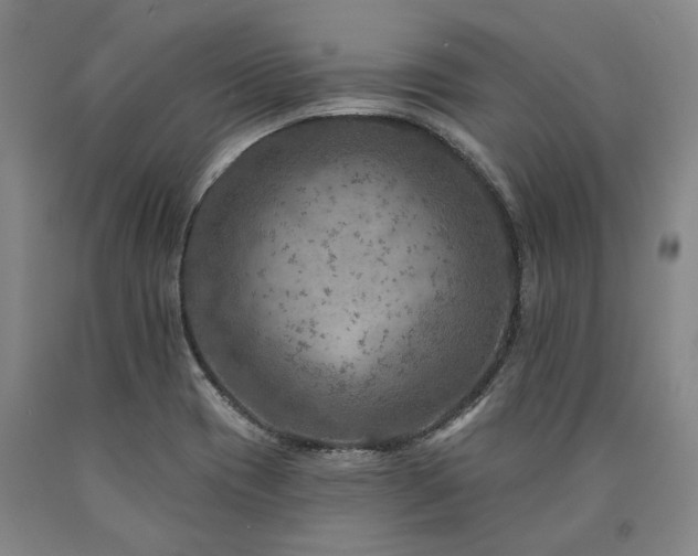 X0000090931417200707301544
