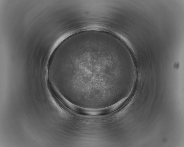 X0000090931418200707301544