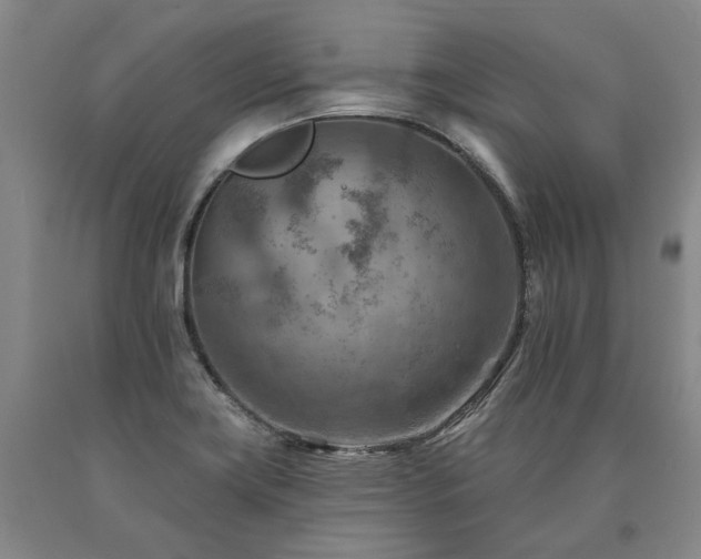 X0000090931419200707301544
