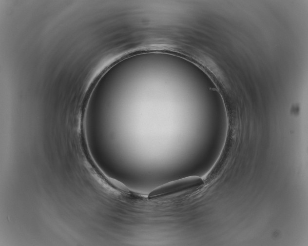 X0000090931420200707301544