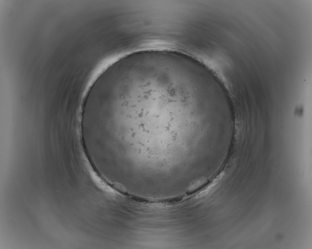 X0000090931421200707301544