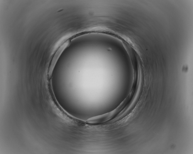 X0000090931422200707301544