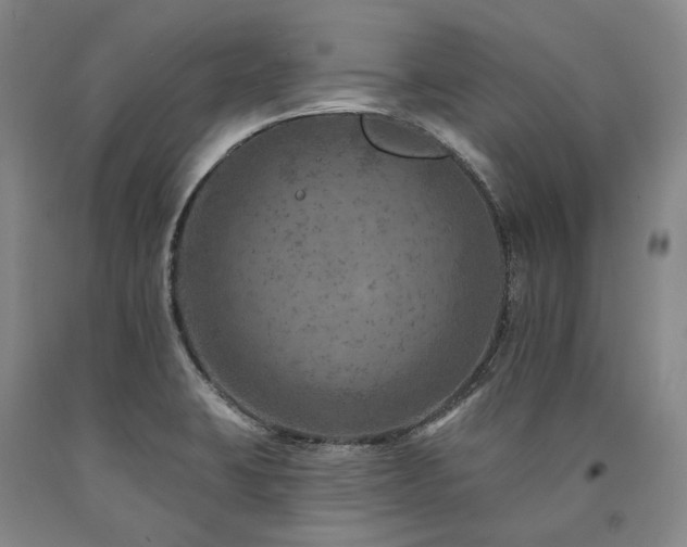 X0000090931423200707301544