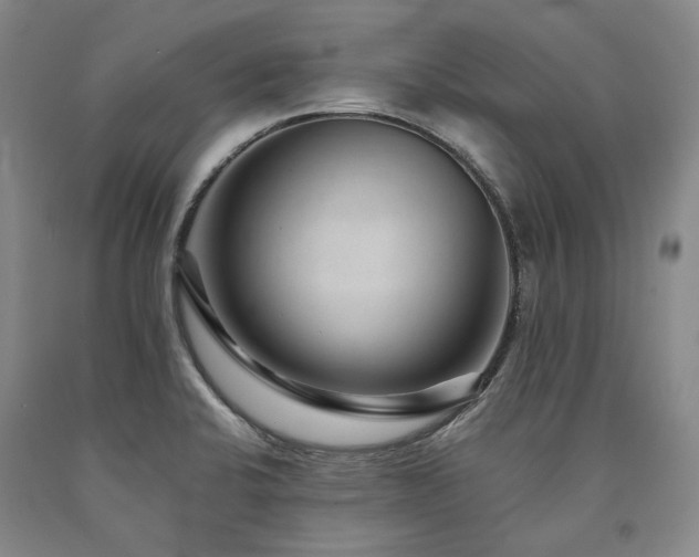 X0000090931424200707301544