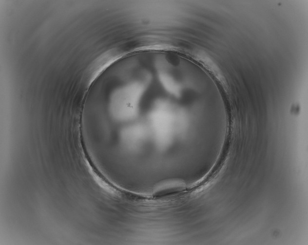 X0000090931425200707301544