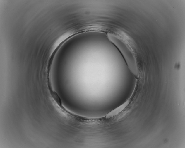 X0000090931426200707301544