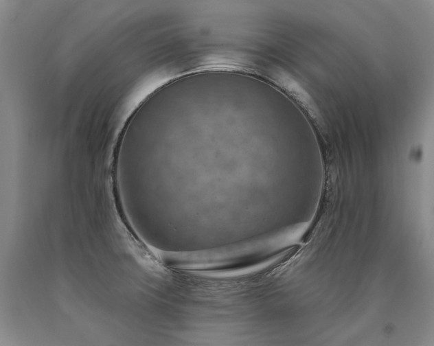 X0000090931427200707301544