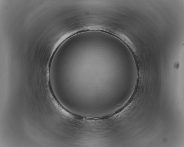X0000090931428200707301544