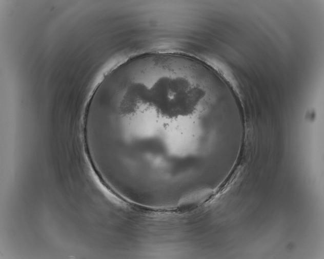 X0000090931429200707301544