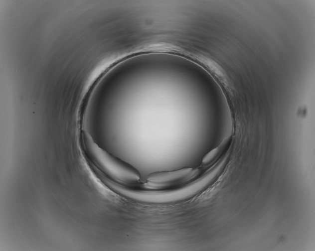 X0000090931430200707301544