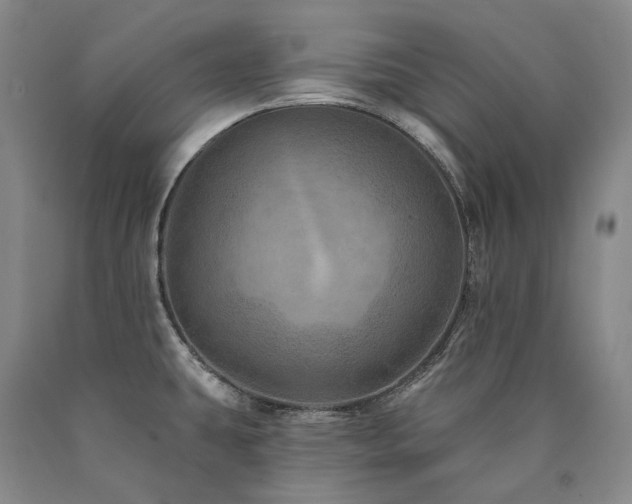 X0000090931431200707301544