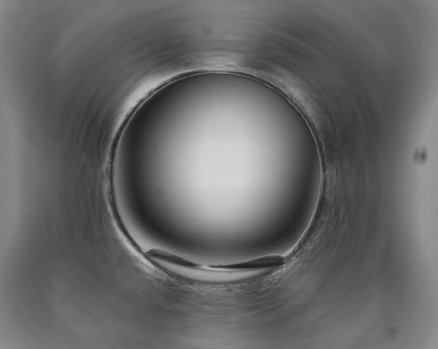 X0000090931432200707301544