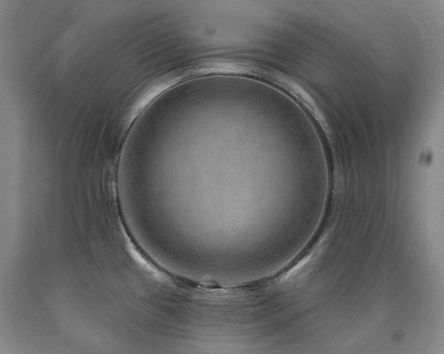 X0000090931433200707301544