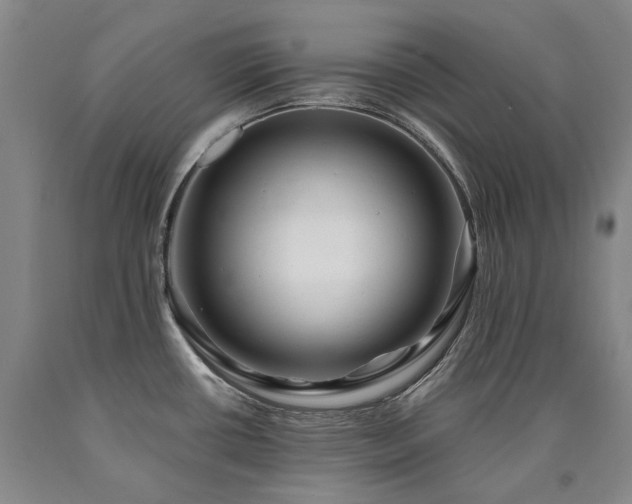X0000090931434200707301544