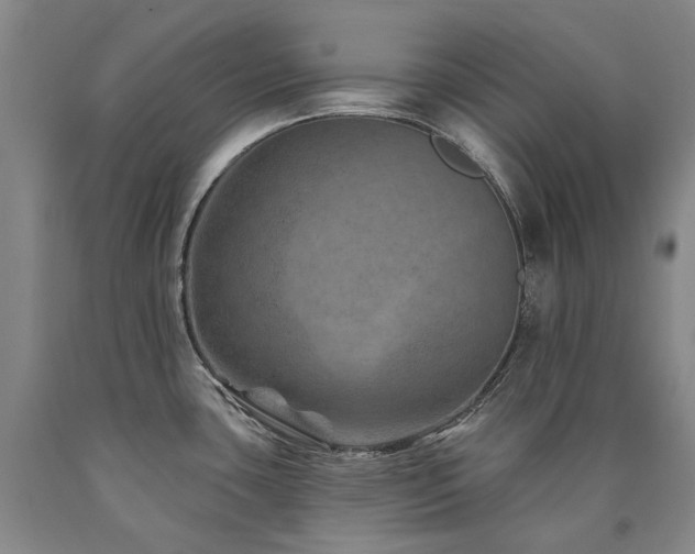 X0000090931435200707301544
