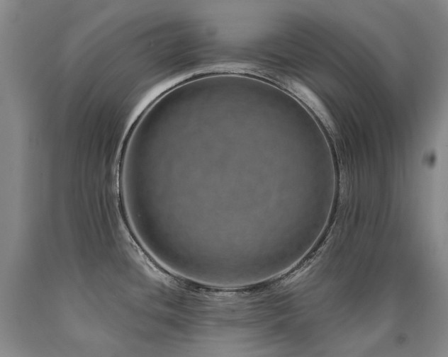 X0000090931436200707301544
