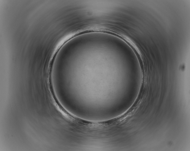 X0000090931437200707301544