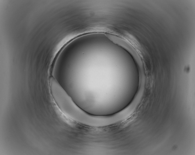 X0000090931438200707301544