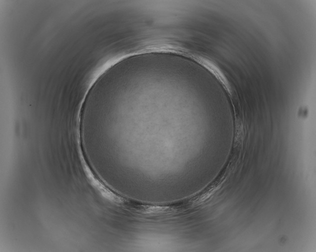 X0000090931439200707301544