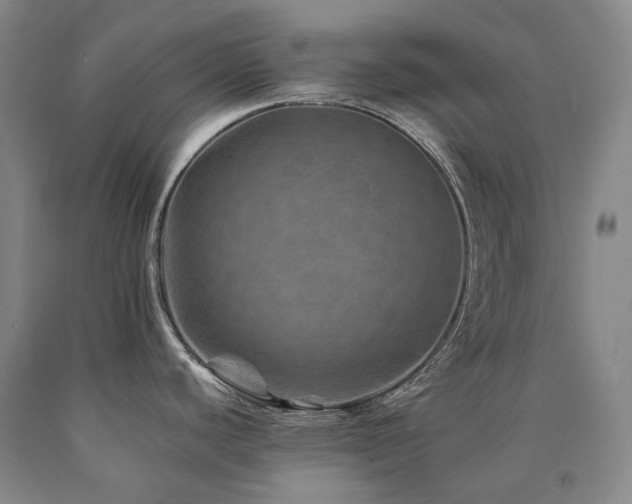 X0000090931440200707301544