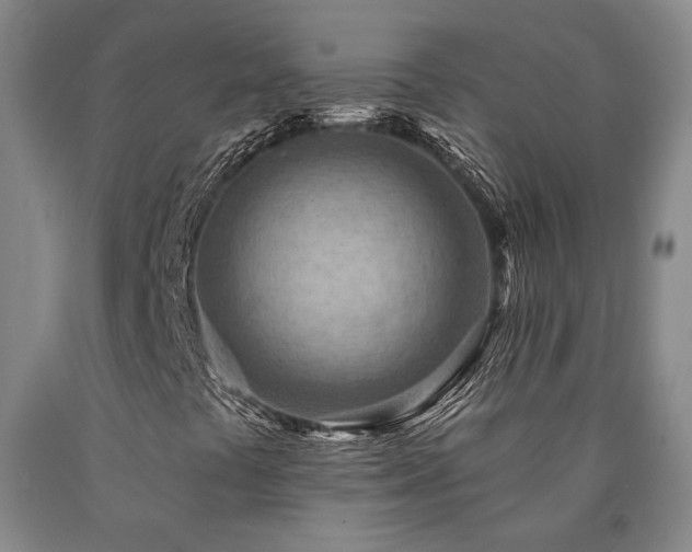 X0000090931441200707301544