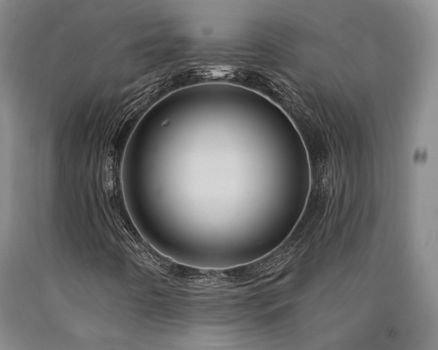 X0000090931442200707301544
